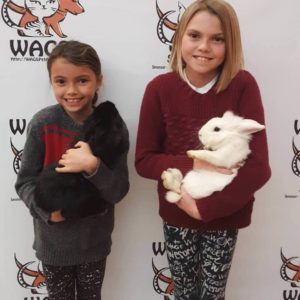 2 children adopt a bunny WAGS