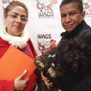 parents adopt a dog at WAGS