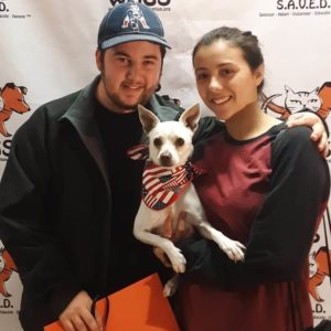 lucky dog adopted at WAGS