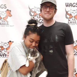 cool cat adopted at WAGS