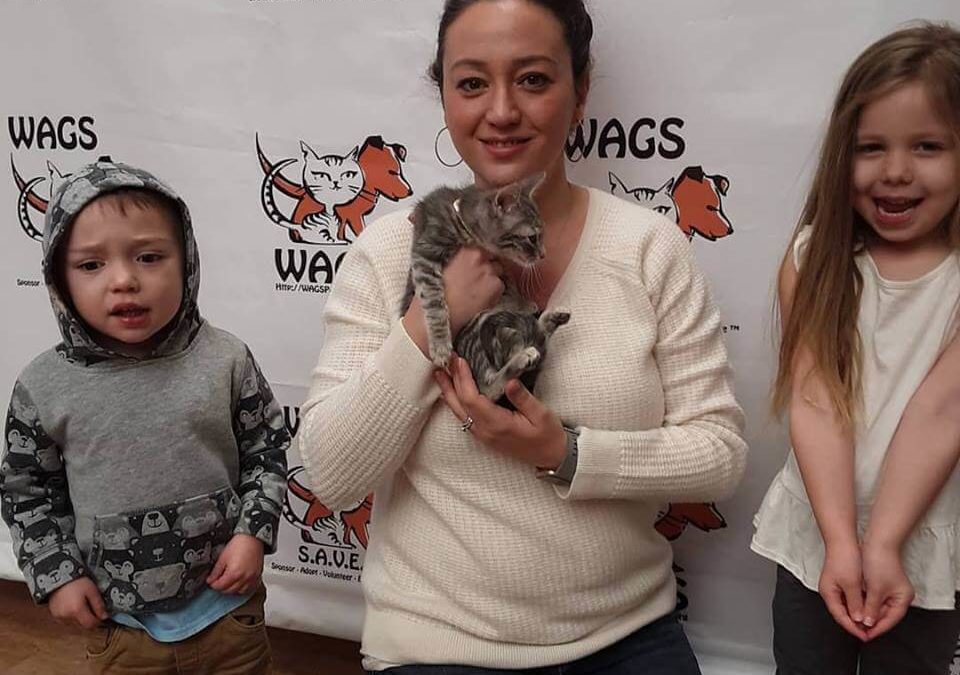 happy children adopt a kitten at WAGS