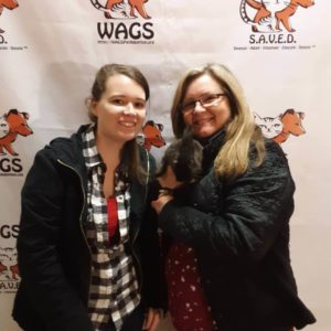 WAGS rabbit adoption