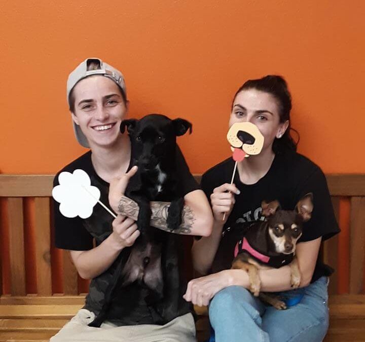 2 dogs were adopted at WAGS