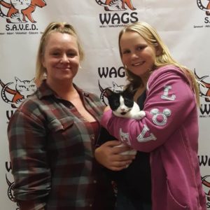 lovely cat adopted at WAGS