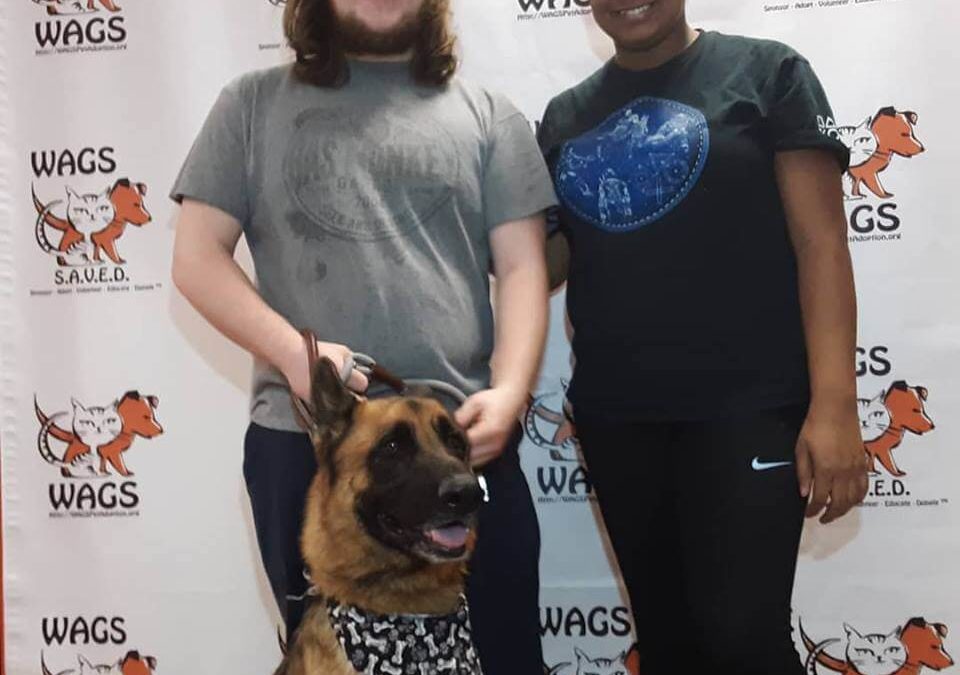 WAGS dog brandon adopted