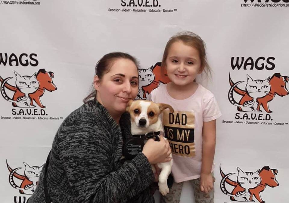 little girl adopt a dog at WAGS