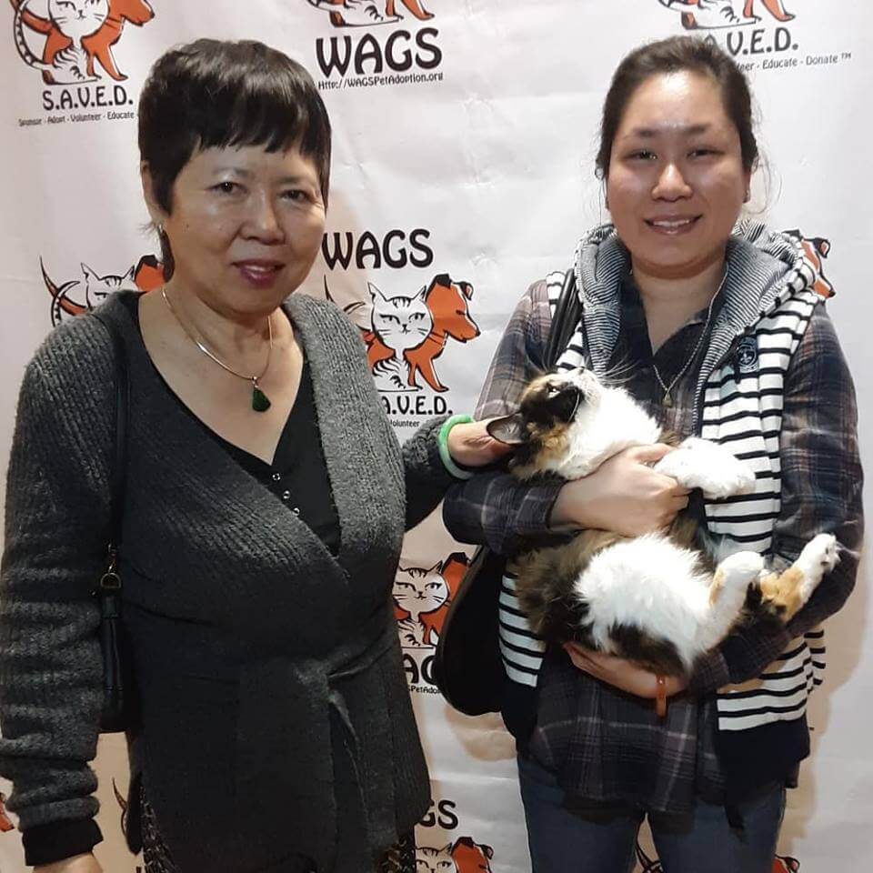 2 ladies adopt a kitten WAGS