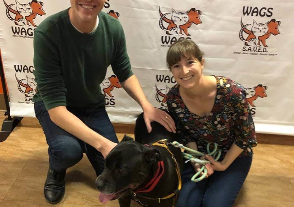 lovely dog adopt by 2 teenager WAGS