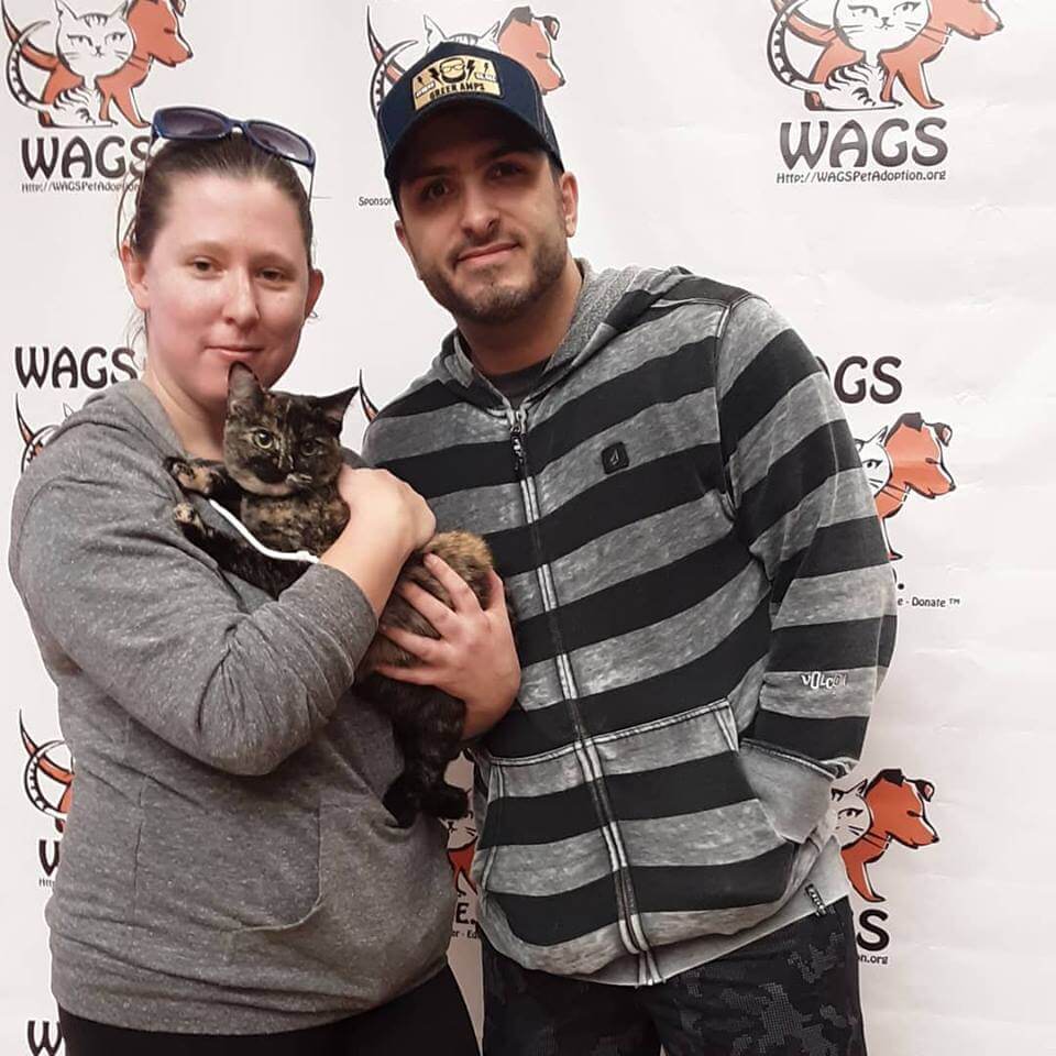 WAGS lilly were adopted