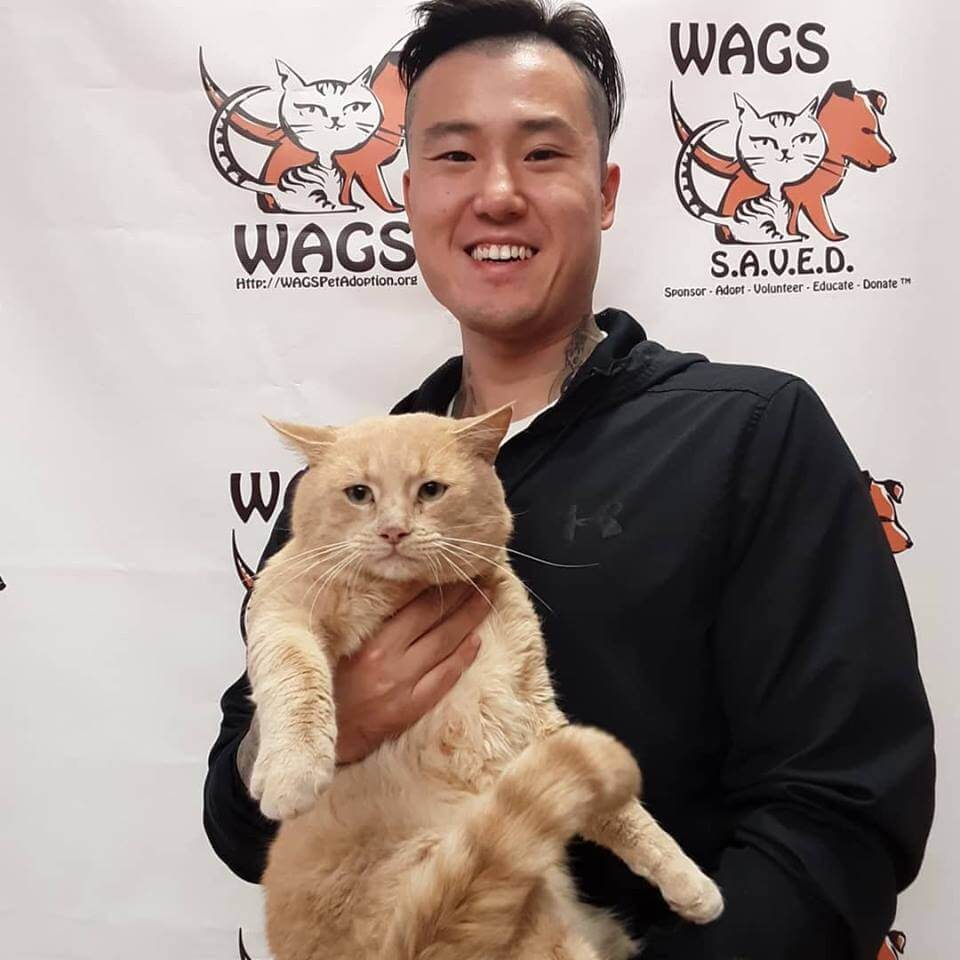 lovely big cat adopted by young man WAGS