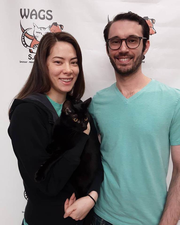 lovely black cat adopted by couple WAGS