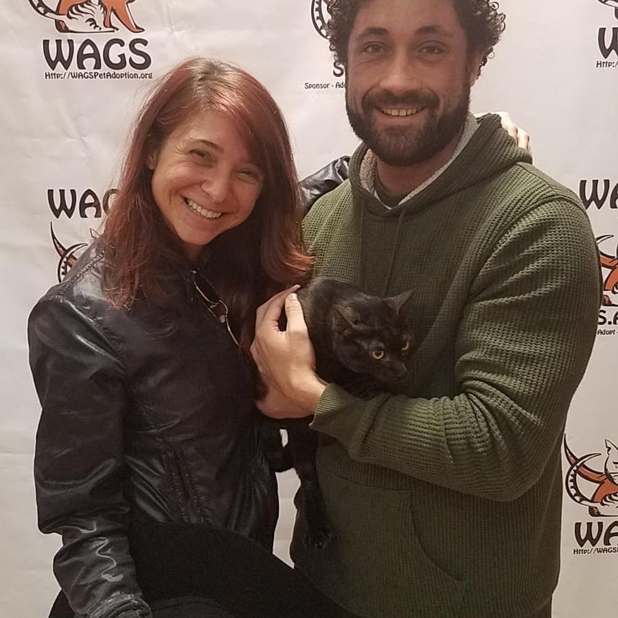 luky cat adopted now at WAGS