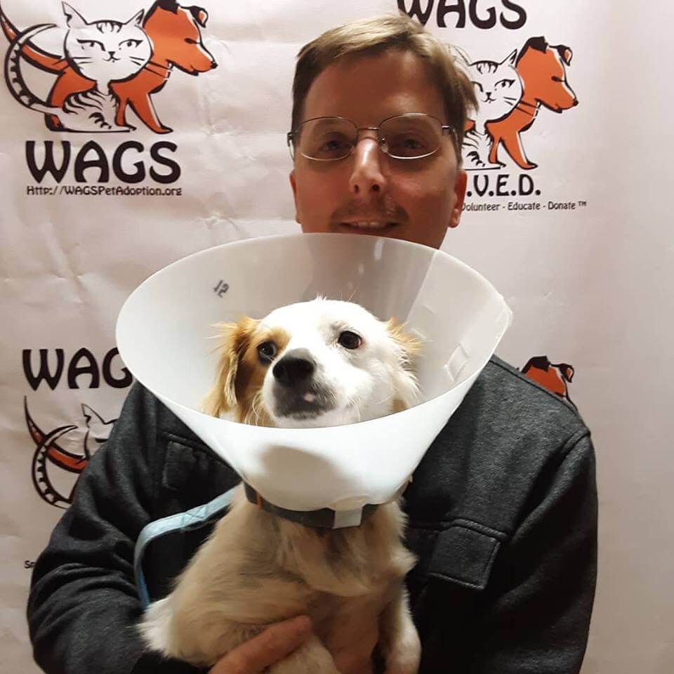 Feather was adopted today! - WAGS Pet Adoption | Animal ...