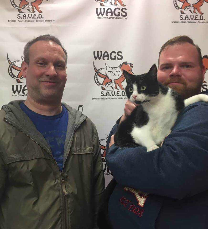 great guys adopt a cat at WAGS