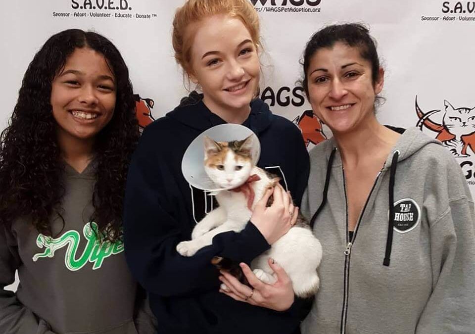 3 ladies adopt a cat at WAGS