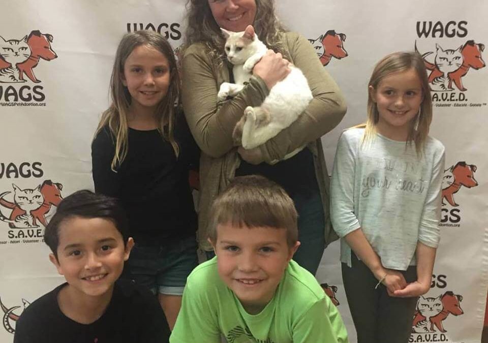 happy family adopt a cat at WAGS
