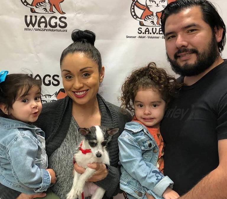 kids enjoys new adopted dog WAGS