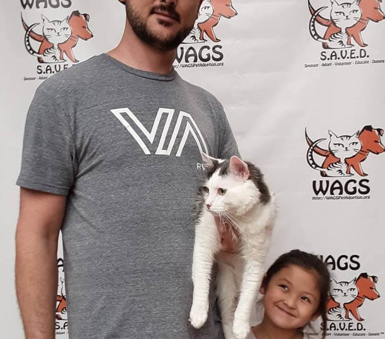 cute little happy adopted a cat WAGS