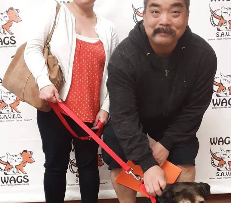 WAGS parents adopt a dog