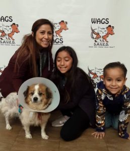 kids enjoy new pet dog WAGS