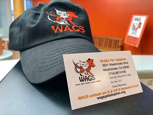 WAGS cap and calling card