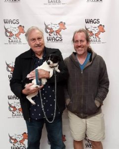great buddies WAGS dog