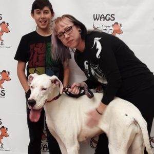 happy family adopt a big dog WAGS