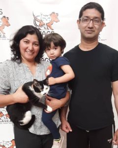 family adopt a cat at WAGS