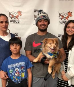 great family adopt a dog WAGS
