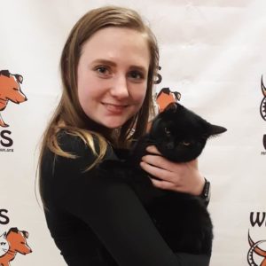 adorable black cat adopted at WAGS