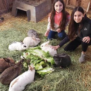 WAGS volunteer kids enjoy at rabbit