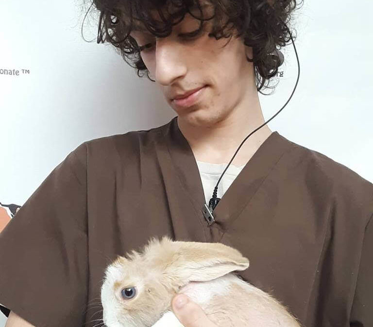 WAGS rabbit olaf need adoption