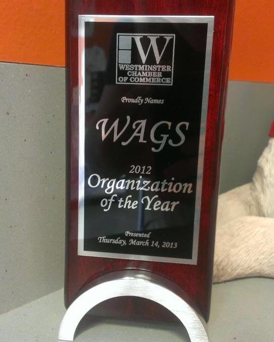 WAGS award Westminster