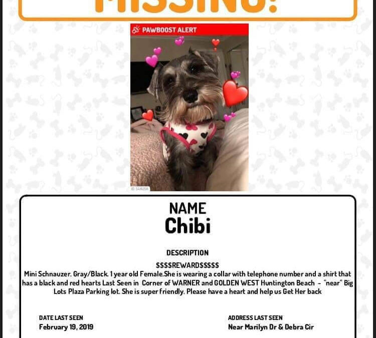 missing dog chibi WAGS