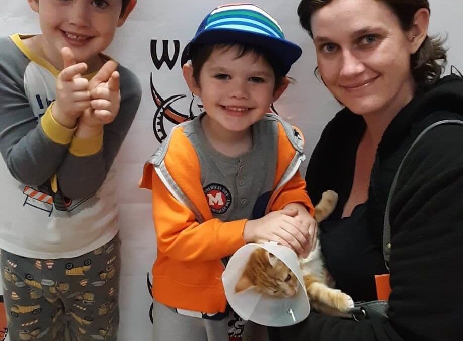 kid enjoy new adopted cat at WAGS