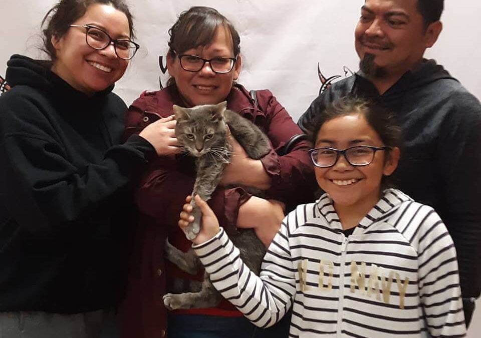 WAGS family adopted a cat river