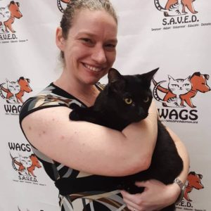 little cute black cat adopted WAGS