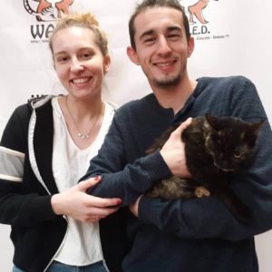 cute cat is now adopted WAGS