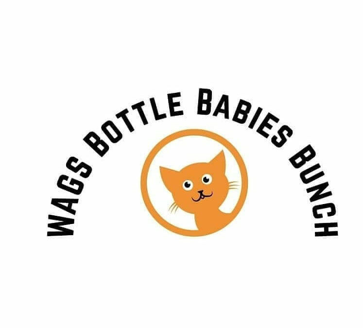 WAGS bottle babies bunch