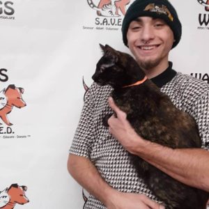 WAGS cat adopted by a young man