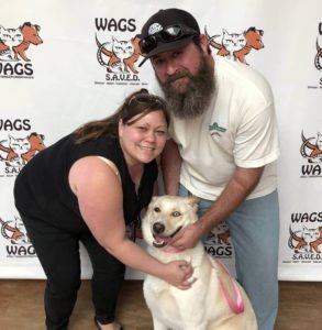 lucky dog adopted at wAGS