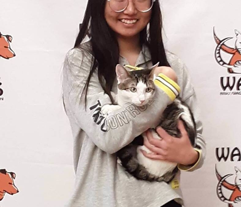 lucky cat is now adopted at WAGS