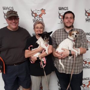 family adopted dogs wAGS