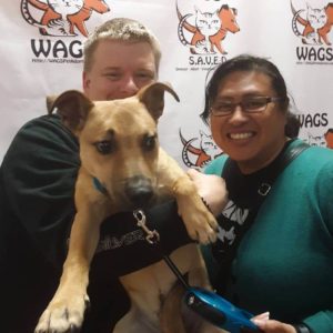 wags pet dog is now adopted