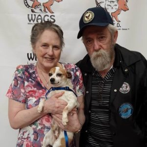 lovely elderly adopted a dog at WAGS