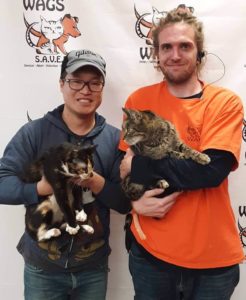 2 lovely cats were adopted WAGS