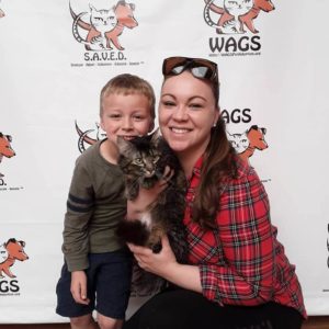 mother and her baby boy adopt a kitten WAGS