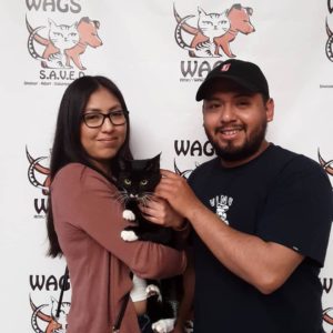 great couple adopt a cat at WAGS