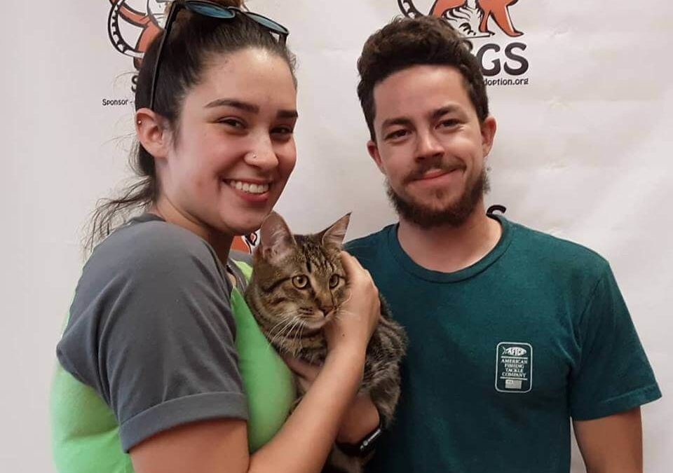 couple adopted a lovely cat WAGS