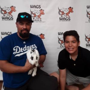 lucky white rabbit adopted at WAGS